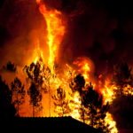 California's Fire Reveals Priceless Truth