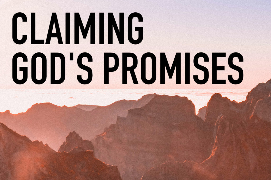 Claiming God's Promises - PODCAST - Insights with Dave Warn