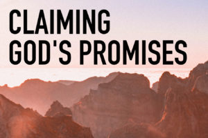 Claiming God's Promises - PODCAST - Insights with Dave Warn